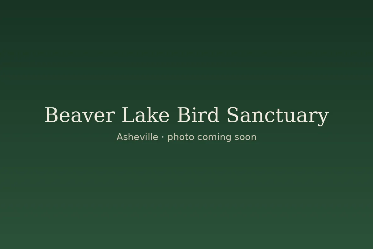 Beaver Lake Bird Sanctuary, Asheville